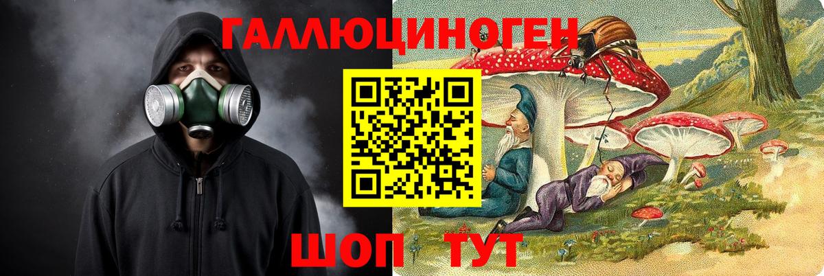 Галлюциногенные грибы Cubensis Отрадный